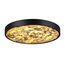 Odeon Light 5064/40L; 0047428 Настенно-потолочный светильник