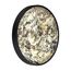 Odeon Light 5064/40L; 0047428 Настенно-потолочный светильник, изображение 2