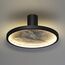 Odeon Light 5078/25L; 0047438 Настенно-потолочные, изображение 4