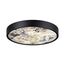 Odeon Light 5064/30L; 0047427 Настенно-потолочный светильник, изображение 5