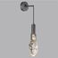 Odeon Light 6695/5WL; 1027558 Настенный светильник, изображение 2