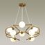Odeon Light 4806/8; 0043656 Люстра, изображение 2