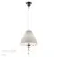 Odeon Light 4896/1; 0045747 Подвес, изображение 4