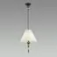 Odeon Light 4896/1; 0045747 Подвес, изображение 2