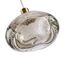 Odeon Light 7044/4L; 0047980 Подвесной, изображение 4