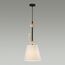 Odeon Light 5410/1; 0047209 Подвес, изображение 2