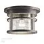 Odeon Light 4044/1C; 0038830 Уличный потолочный светильник, изображение 3