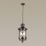 Odeon Light 4045/3; 0038817 Уличный светильник-подвес, изображение 2