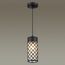 Odeon Light 4834/1; 0043720 Ландшафтный светильник-подвес, изображение 2