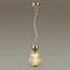 Odeon Light 5402/1; 0045849 Подвес, изображение 2