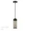 Odeon Light 4834/1; 0043720 Ландшафтный светильник-подвес, изображение 4