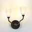 Odeon Light 5090/2W; 0048328 Бра, изображение 2