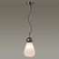 Odeon Light 5418/1; 0045847 Подвес, изображение 2