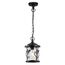 Odeon Light 4963/1; 0044560 Ландшафтный подвес