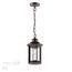 Odeon Light 4961/1; 0044598 Ландшафтный подвес, изображение 4