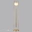 Odeon Light 5432/1F; 0048305 Торшер, изображение 2