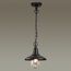 Odeon Light 4965/1; 0044565 Ландшафтный подвес, изображение 2