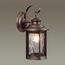 Odeon Light 4961/1W; 0044601 Ландшафтный настенный светильник, изображение 2