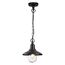 Odeon Light 4965/1; 0044565 Ландшафтный подвес