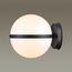 Odeon Light 4832/1W; 0043712 Ландшафтный настенный светильник, изображение 2