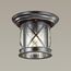 Odeon Light 4045/1C; 0038850 Уличный потолочный светильник, изображение 2