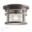 Odeon Light 4044/1C; 0038830 Уличный потолочный светильник, изображение 3