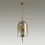 Odeon Light 4892/3; 0044844 Подвес, изображение 2
