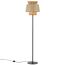 Odeon Light 4992/1F; 1025913 Торшер