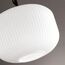 Odeon Light 4754/1; 0043248 Подвес, изображение 5