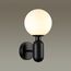 Odeon Light 4668/1W; 0044791 Настенный светильник, изображение 2