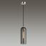 Odeon Light 4805/1; 0043687 Подвес, изображение 2