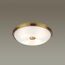 Odeon Light 4956/4; 0044891 Настенно-потолочный светильник, изображение 2