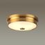 Odeon Light 4824/3C; 0043651 Настенно-потолочный светильник, изображение 2