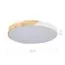 EVOLUCE SLE200952-01 Светильник потолочный Белый, Светлое дерево/Белый LED 1*45W 3000K/4000K/6000K, изображение 8