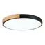 EVOLUCE SLE201342-01 Светильник потолочный Черный, Светлое дерево/Белый LED 1*40W 3000K/4000K/6000K, изображение 3