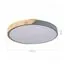 EVOLUCE SLE200972-01 Светильник потолочный Серый, Светлое дерево/Белый LED 1*45W 3000K/4000K/6000K, изображение 7