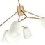 EVOLUCE SLE155902-08 Светильник потолочный Золотистый/Белый E14 8*40W, изображение 4