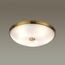 Odeon Light 4956/5; 0044890 Настенно-потолочный светильник, изображение 2