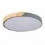 EVOLUCE SLE200972-01 Светильник потолочный Серый, Светлое дерево/Белый LED 1*45W 3000K/4000K/6000K, изображение 5