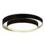 EVOLUCE SLE6009-402-01 Светильник потолочный Черный/Белый LED 1*50W 3000K/4000K/6000K, изображение 3