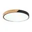EVOLUCE SLE200942-01 Светильник потолочный Черный, Светлое дерево/Белый LED 1*45W 3000K/4000K/6000K, изображение 3