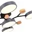 EVOLUCE SLE6006-702-05 Светильник потолочный Серый/Серый LED 5*12W 3000K/4500K/6000K, изображение 5
