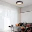 EVOLUCE SLE201112-01 Светильник потолочный Серый, Золото/Белый LED 1*24W 4000K, изображение 4