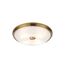 Odeon Light 4956/4; 0044891 Настенно-потолочный светильник