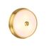 Odeon Light 4824/3C; 0043651 Настенно-потолочный светильник