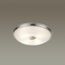 Odeon Light 4957/4; 0044895 Настенно-потолочный светильник, изображение 2
