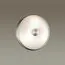 Odeon Light 4957/2; 0044893 Настенно-потолочный светильник, изображение 2