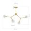EVOLUCE SLE1106-203-04 Светильник подвесной Золотистый/Прозрачный, Белый G9 4*5W, изображение 3