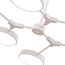 EVOLUCE SLE6003-502-06 Светильник потолочный Белый/Белый LED 6*10W, изображение 7
