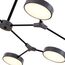EVOLUCE SLE6003-702-08 Светильник потолочный Серый,Черный/Серый LED 8*10W, изображение 6